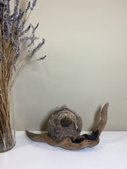 Driftwood Snail