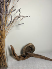 Driftwood Snail