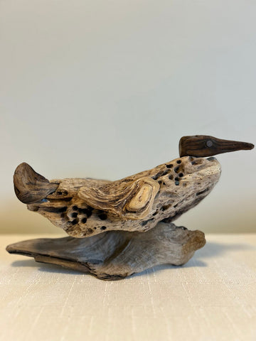 Wood Duck on Wave