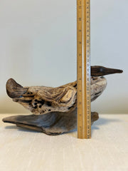 Wood Duck on Wave