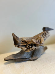 Wood Duck on Wave