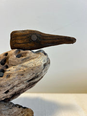 Wood Duck on Wave