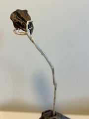 One of a Kind Driftwood Tulip