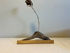 One of a Kind Driftwood Tulip