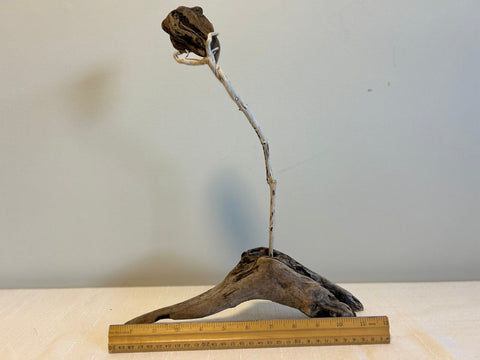 One of a Kind Driftwood Tulip