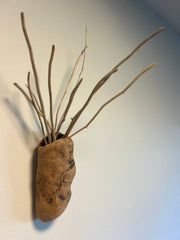 Wall Sconce