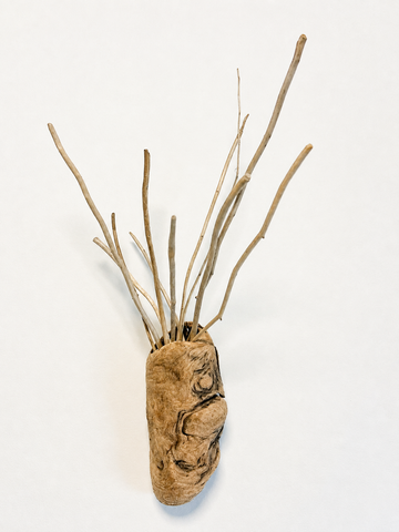 Driftwood Wall Sconce