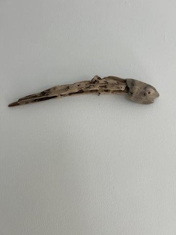 Driftwood Fish